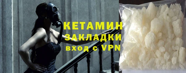 сатива Новодвинск