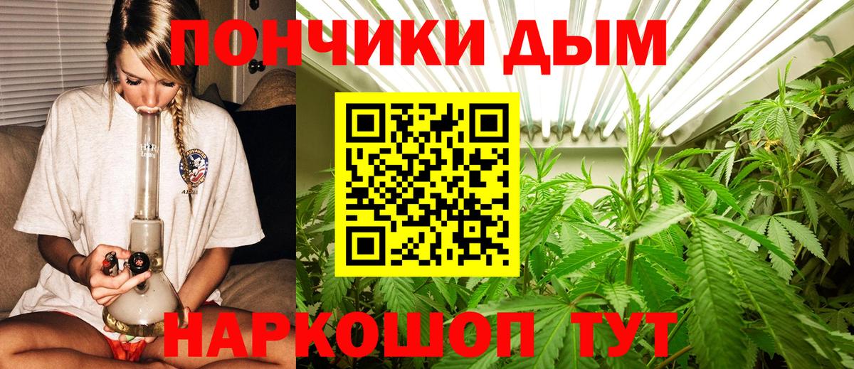 Шишки марихуана семена  Бошки марихуана Amnesia  Вход с VPN  Приморско-Ахтарск  Конопля индика 